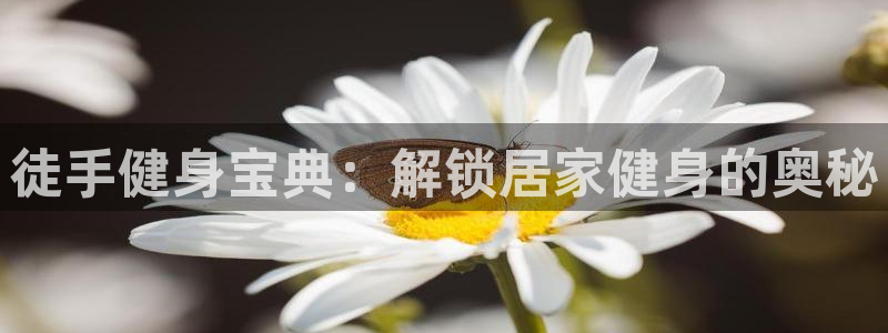 QY千亿球友会